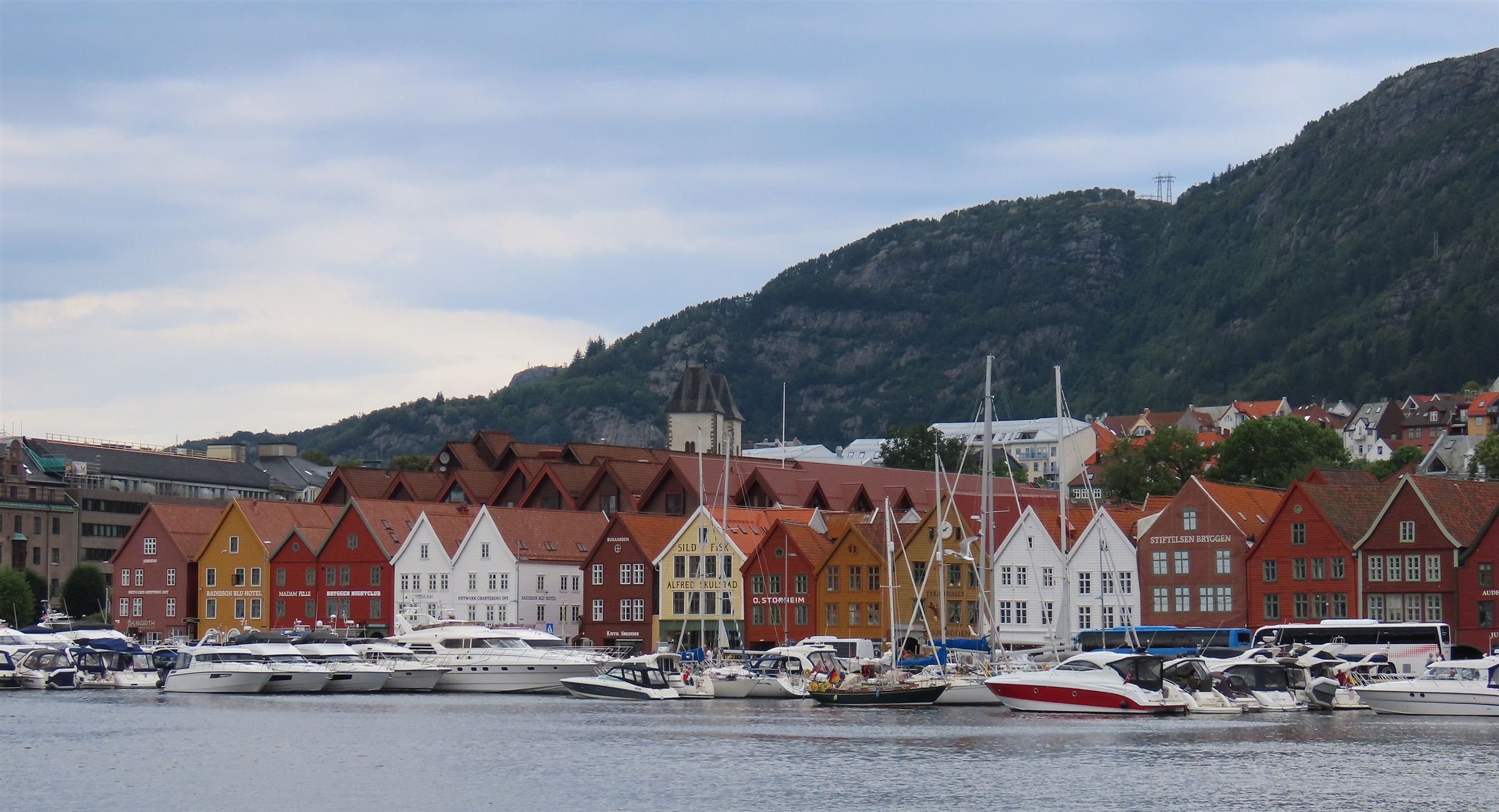 Bryggen i Bergen en overskyet dag, sett fra Vågen